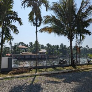 Riverside with Tropical Trees and Reflections