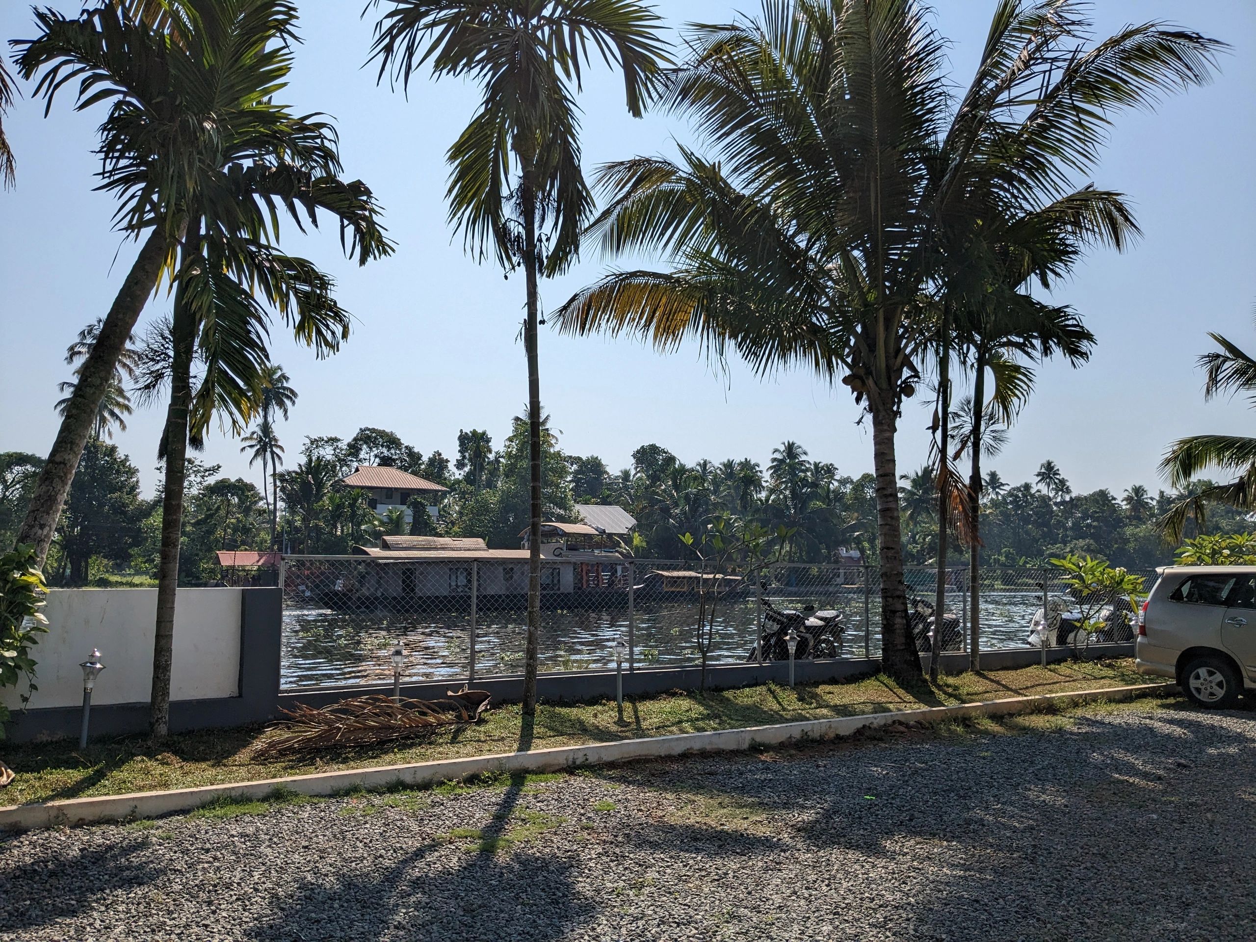 Riverside with Tropical Trees and Reflections